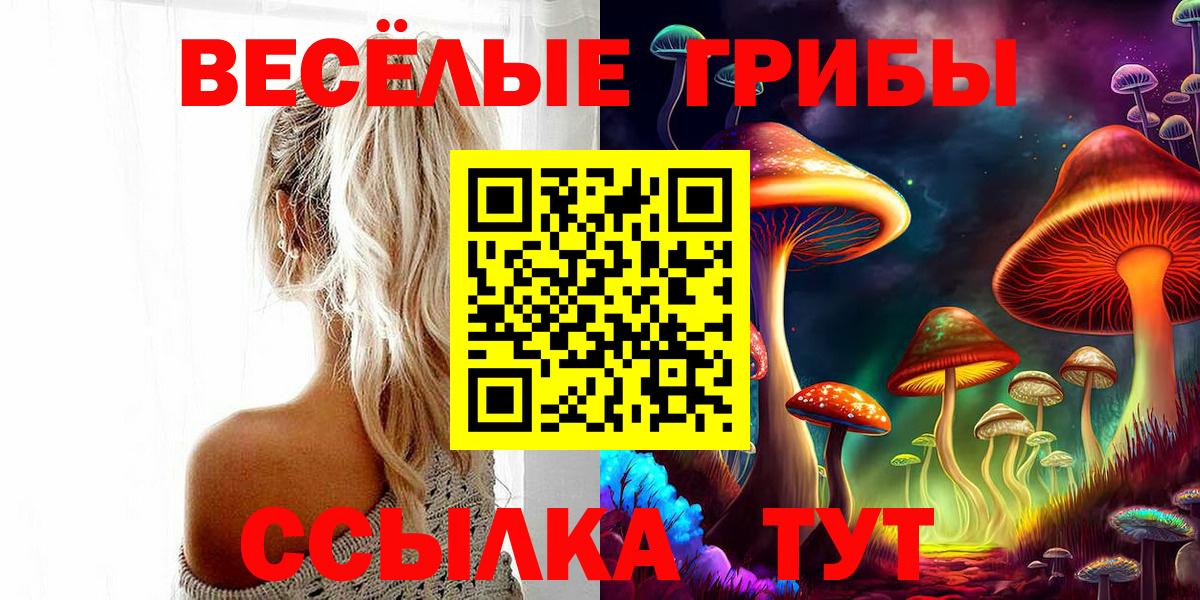 Псилоцибиновые грибы мухоморы  Вход с VPN  Псилоцибиновые грибы Cubensis  Набережные Челны 