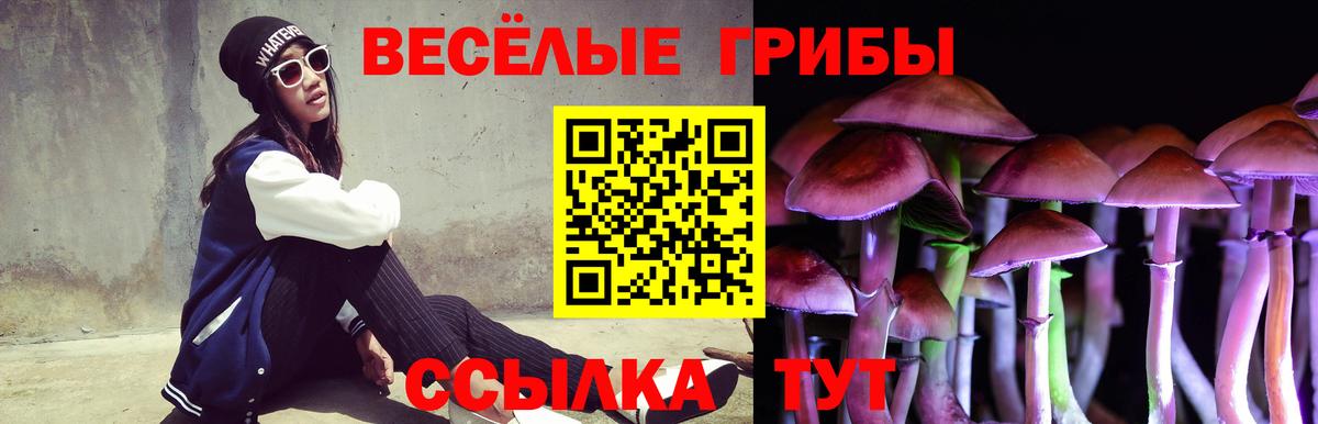 Галлюциногенные грибы Psilocybe Набережные Челны